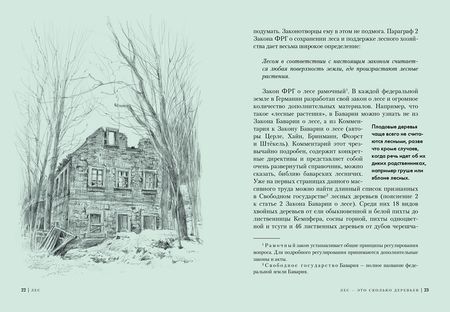 Фотография книги "Лохнер: Лес. Как устроена лесная экосистема"