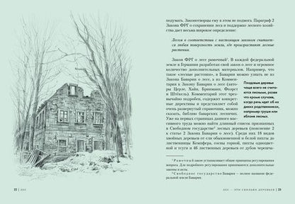 Фотография книги "Лохнер: Лес. Как устроена лесная экосистема"