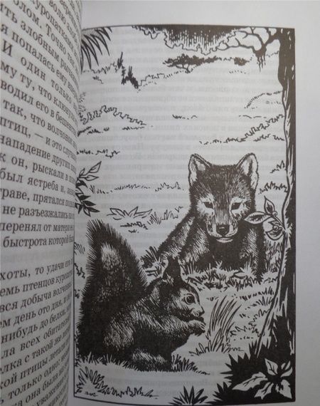 Фотография книги "Лондон: Белое безмолвие"