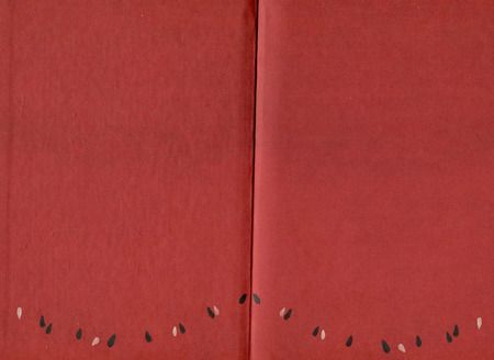 Фотография книги "Лоран Ривлег: Мой брат Арбуз"