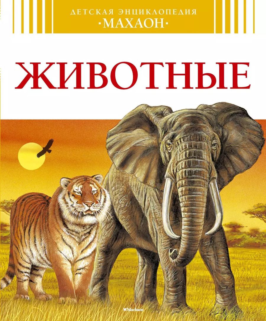 Обложка книги "Лоранс Букобза: Животные"