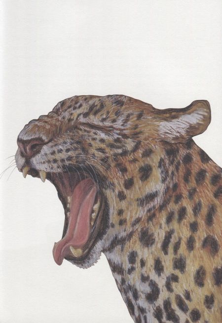 Фотография книги "Лоренц Паули: Риго и Роза. 28 историй из жизни животных в зоопарке"