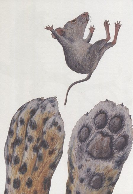 Фотография книги "Лоренц Паули: Риго и Роза. 28 историй из жизни животных в зоопарке"