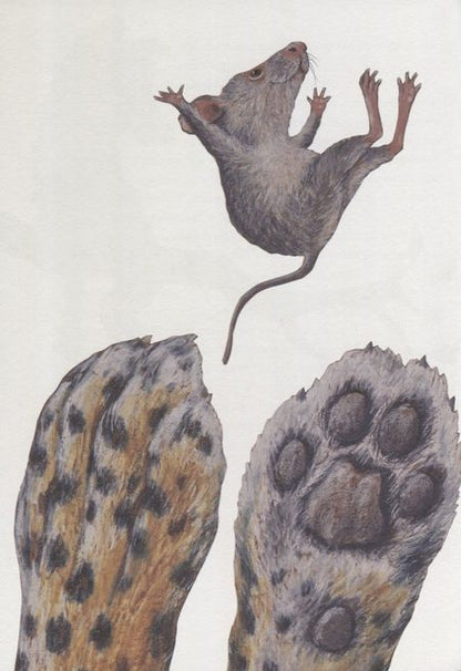 Фотография книги "Лоренц Паули: Риго и Роза. 28 историй из жизни животных в зоопарке"