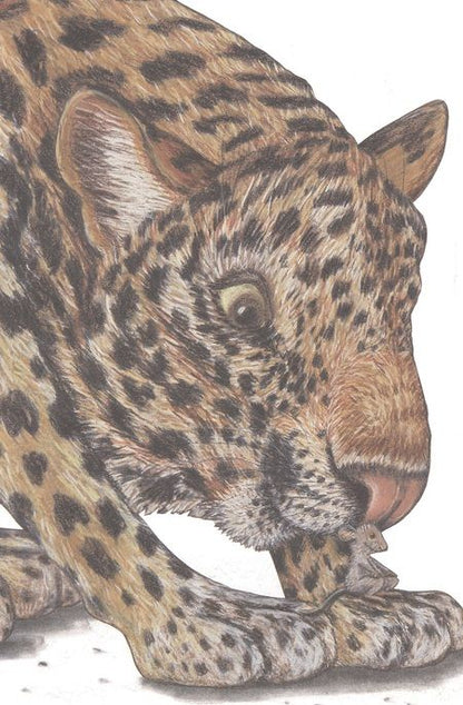 Фотография книги "Лоренц Паули: Риго и Роза. 31 история о чудных мелочах"