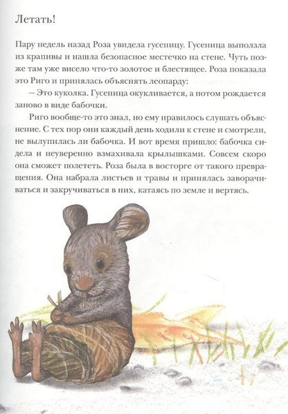 Фотография книги "Лоренц Паули: Риго и Роза. 31 история о чудных мелочах"