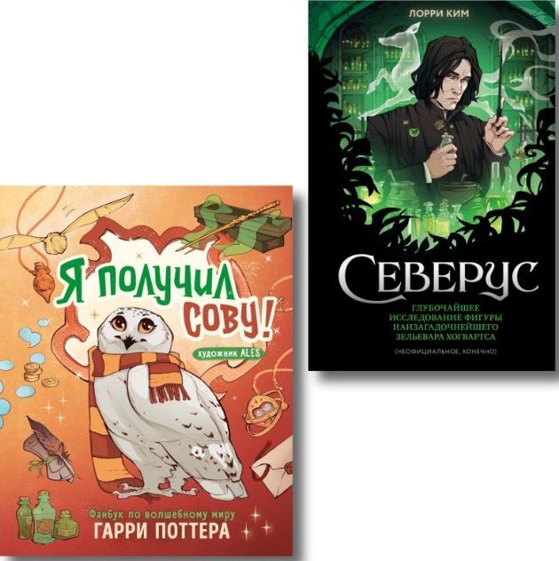 Обложка книги "Лорри Ким: Комплект из 2 книг. Гарри Поттер. Фанбук. Северус + Я получил сову"