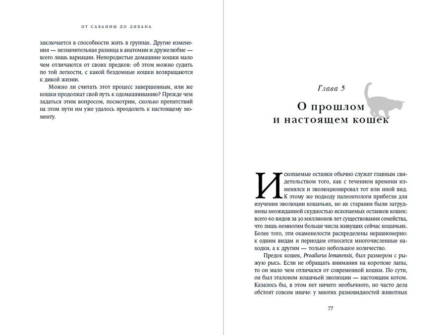Обложка книги "Лосос: От саванны до дивана. Эволюционная история кошек"