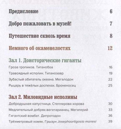 Фотография книги "Лотте Стегман: Музей доисторических животных. Единороги, мамонты, динозавры и другие экспонаты"