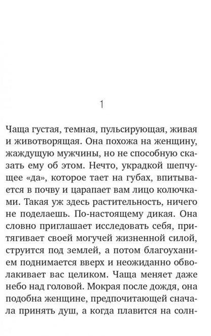 Фотография книги "Лу: Окно"