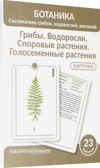 Обложка книги "Луферов, Анцышкина, Простодушева: Ботаника. Систематика грибов, водорослей, растений. Грибы. Водоросли. Споровые растения. 23 карточки"