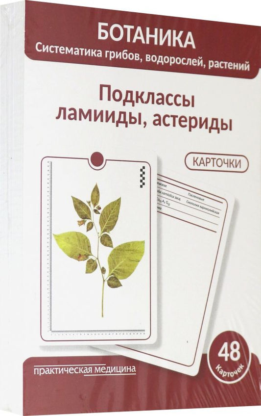 Обложка книги "Луферов, Анцышкина, Простодушева: Ботаника. Систематика грибов, водорослей, растений. Подклассы ламииды, астериды. 48 карточек"