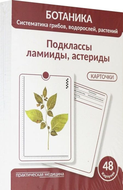 Фотография книги "Луферов, Анцышкина, Простодушева: Ботаника. Систематика грибов, водорослей, растений. Подклассы ламииды, астериды. 48 карточек"