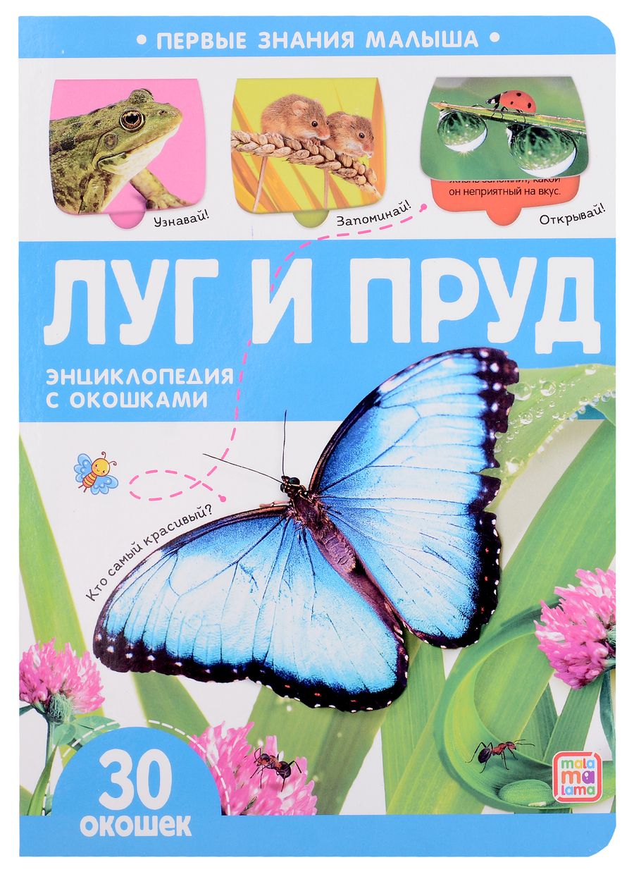 Обложка книги "Луг и пруд: книжка с окошками"