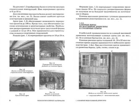 Фотография книги "Лукаш: Технология клееных материалов. СПО"