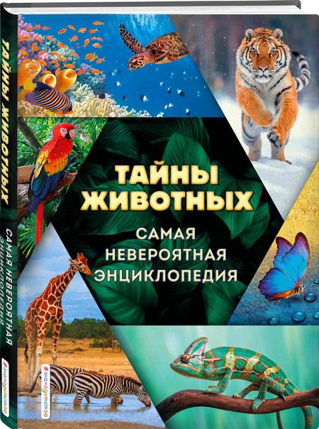Фотография книги "Лукашанец, Мазур, Ивинская: Тайны животных. Самая невероятная энциклопедия"