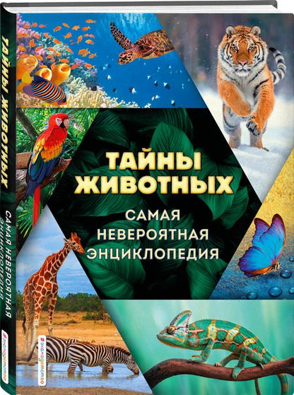 Фотография книги "Лукашанец, Мазур, Ивинская: Тайны животных. Самая невероятная энциклопедия"