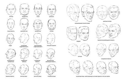 Фотография книги "Лумис: Рисование головы и рук"
