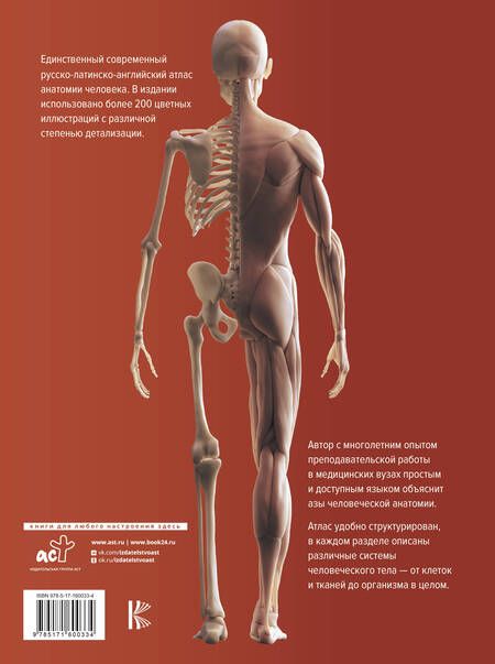 Фотография книги "Любовь Палычева: Атлас анатомии человека. Русско-латинско-английское издание"