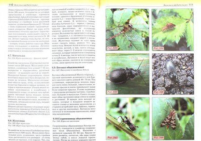 Фотография книги "Любовь Трейвас: Болезни и вредители роз, хвойных и других декоративных растений. Атлас-определитель"