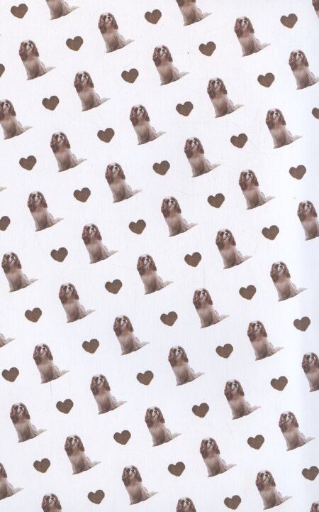 Фотография книги "Любовь в форме сердца"