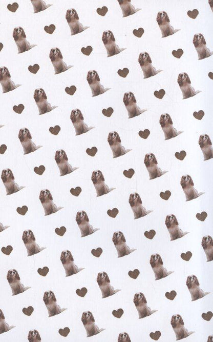 Фотография книги "Любовь в форме сердца"