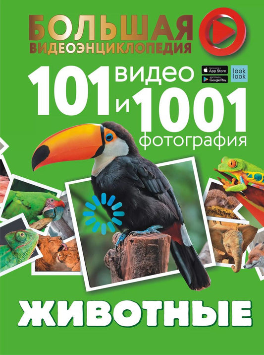 Обложка книги "Любовь Вайткене: Животные. 101 видео и 1001 фотография"