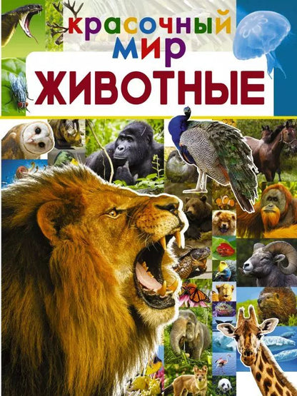 Обложка книги "Любовь Вайткене: Животные"