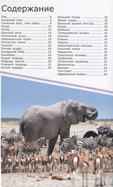 Фотография книги "Любовь Вайткене: Животные"