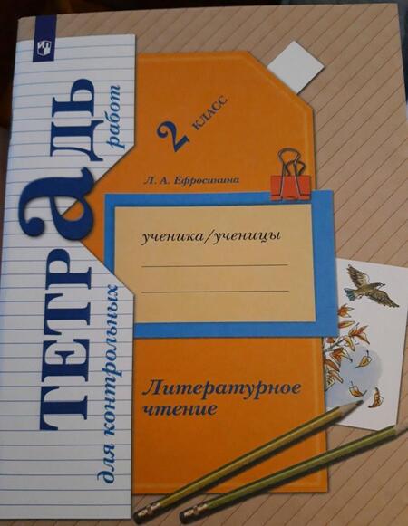 Фотография книги "Любовь Ефросинина: Литературное чтение. 2 класс. Тетрадь для контрольных работ. ФГОС"