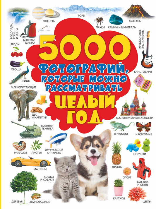 Обложка книги "Людмила Долманская: 5000 фотографий, которые можно рассматривать целый год"