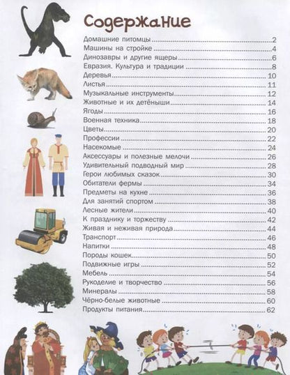 Фотография книги "Людмила Доманская: 5000 картинок, которые можно рассматривать целый год"