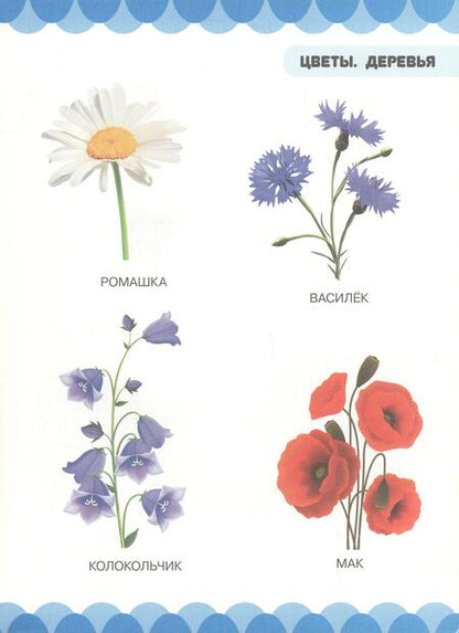 Фотография книги "Людмила Доманская: Цветы. Деревья"