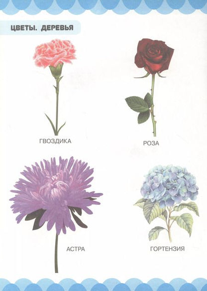 Фотография книги "Людмила Доманская: Цветы. Деревья"