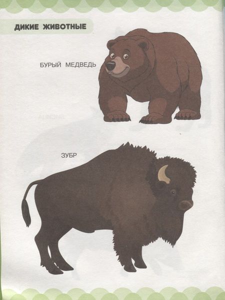 Фотография книги "Людмила Доманская: В царстве зверей, птиц и растений"