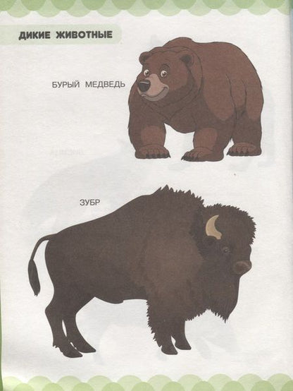 Фотография книги "Людмила Доманская: В царстве зверей, птиц и растений"