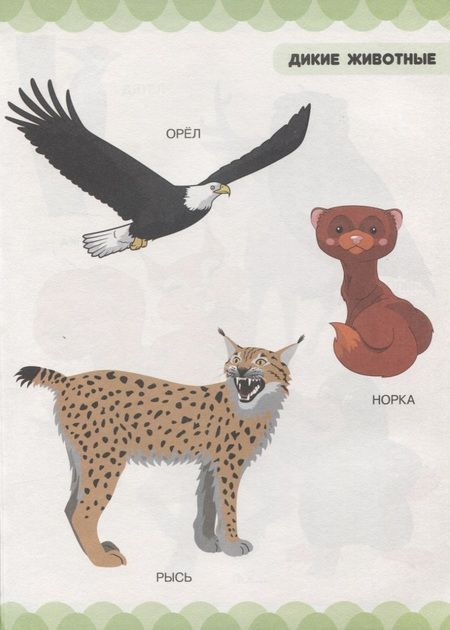 Фотография книги "Людмила Доманская: В царстве зверей, птиц и растений"