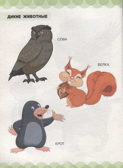 Фотография книги "Людмила Доманская: В царстве зверей, птиц и растений"