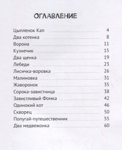 Фотография книги "Людмила Куцапкина: Сказки на ночь – 2. Любимым внукам"
