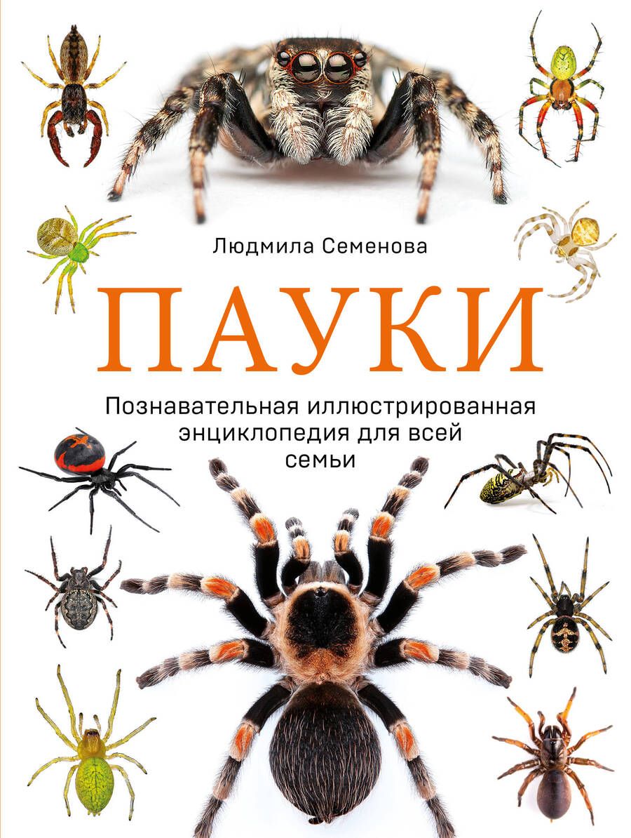 Обложка книги "Людмила Семенова: Пауки: познавательная иллюстрированная энциклопедия для всей семьи"