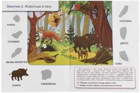 Фотография книги "Людмила Смилевска: Кто, где живет. Школа Жуковой"