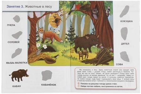 Фотография книги "Людмила Смилевска: Кто, где живет. Школа Жуковой"