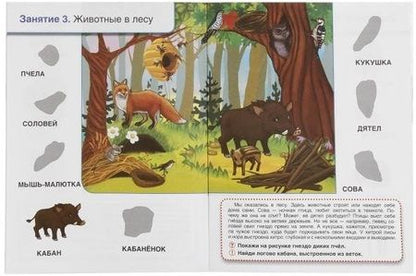 Фотография книги "Людмила Смилевска: Кто, где живет. Школа Жуковой"