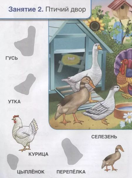 Фотография книги "Людмила Смилевска: Кто, где живет. Школа Жуковой"