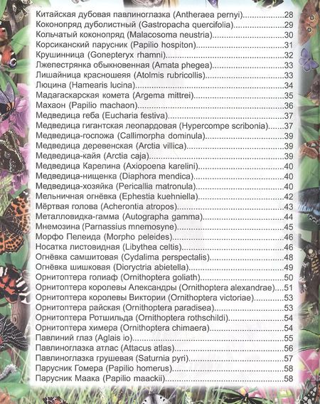 Фотография книги "Людмила Соколова: Бабочки. Энциклопедия"