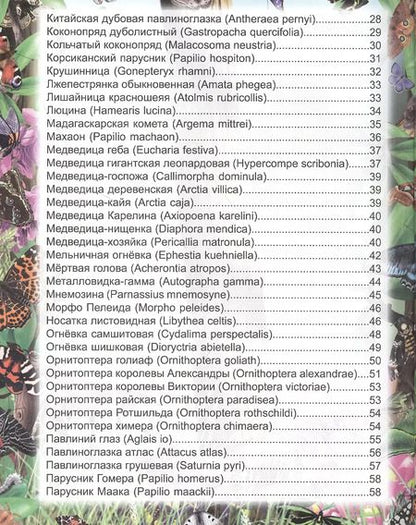 Фотография книги "Людмила Соколова: Бабочки. Энциклопедия"