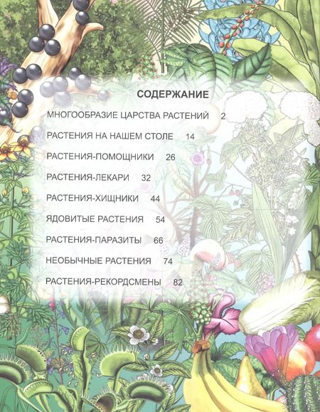 Фотография книги "Людмила Соколова: ЭНЦИКЛОПЕДИЯ. ХОЧУ ЗНАТЬ. УДИВИТЕЛЬНЫЙ МИР РАСТЕНИЙ"