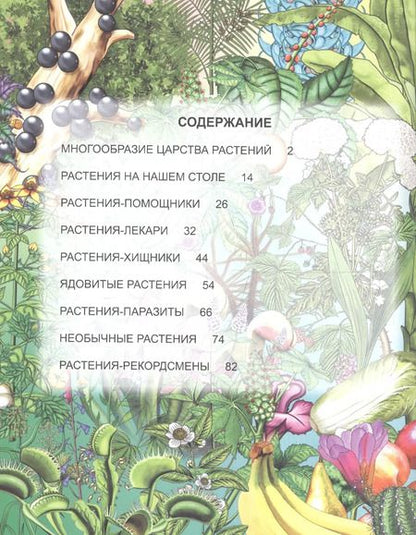 Фотография книги "Людмила Соколова: ЭНЦИКЛОПЕДИЯ. ХОЧУ ЗНАТЬ. УДИВИТЕЛЬНЫЙ МИР РАСТЕНИЙ"