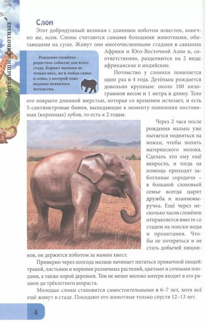 Фотография книги "Людмила Соколова: ЭНЦИКЛОПЕДИЯ. В МИРЕ ЗНАНИЙ. ДЕТЁНЫШИ ЖИВОТНЫХ"