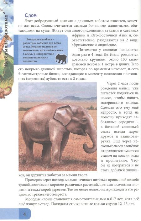 Фотография книги "Людмила Соколова: ЭНЦИКЛОПЕДИЯ. В МИРЕ ЗНАНИЙ. ДЕТЁНЫШИ ЖИВОТНЫХ"